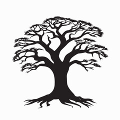 Baobab Tree Vector Image. Silhouette African Baobab Trees image on white background.