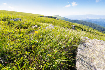 Wall Mural - landscape with sandstone rocks on the grassy meadow. outdoor adventure. alpine scenery of ukraine in