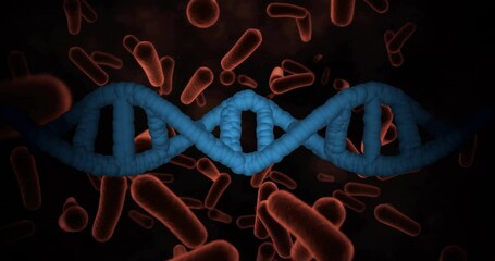 Poster - animation of dna strand with red bacteria, scientific concept in school biology