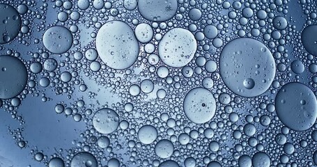 Wall Mural - slow motion macro of floating micro particles molecules in liquid are analyzed with microscope by ch
