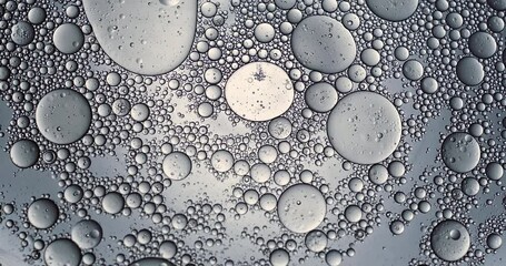 Wall Mural - slow motion macro of floating micro particles molecules in liquid are analyzed with microscope by ch
