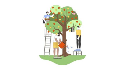 Fototapete - Community apple harvest cartoon animation. Watering tree, installing birdhouse. Diverse people picking fruits from appletree animated flat 2D characters 4K video isolated on white, scene storytelling