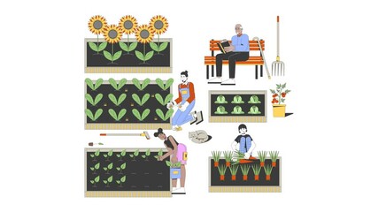 Poster - Community garden maintenance cartoon animation. Sustainable living, permaculture. Volunteers planting, weeding, harvesting animated flat 2D characters 4K video isolated on white, scene storytelling