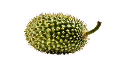 Poster - A whole jackfruit with green spiky skin, isolated on a empty plain background