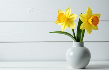 Aufkleber - Daffodil Flower Placed In A Modern Gray Vase On A Table With White Wood Shiplap And Empty Space To One Side.