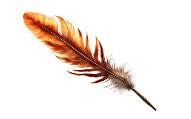 Poster - A burning phoenix feather representing resilience and rebirth, isolated on a empty plain background
