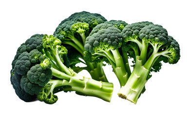 Poster - A bunch of broccoli with vibrant green florets, isolated on a empty plain background