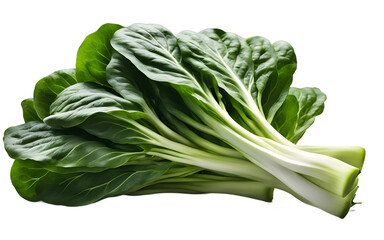 Poster - A fresh bunch of bok choy with large green leaves and crisp stems, isolated on a empty plain background
