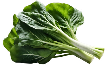 Poster - A fresh bunch of bok choy with large green leaves and crisp stems, isolated on a empty plain background