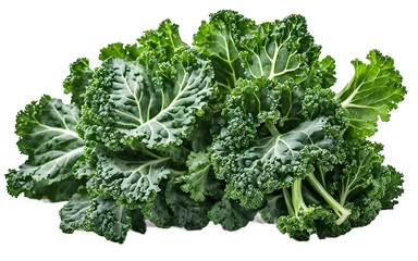 Poster - A fresh bunch of kale leaves, isolated on a empty plain background