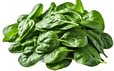 Poster - A pile of fresh spinach leaves, isolated on a empty plain background