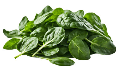 Poster - A pile of fresh spinach leaves, isolated on a empty plain background
