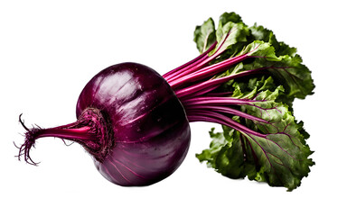 Poster - A whole beetroot with purple skin, isolated on a empty plain background