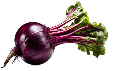 Poster - A whole beetroot with purple skin, isolated on a empty plain background