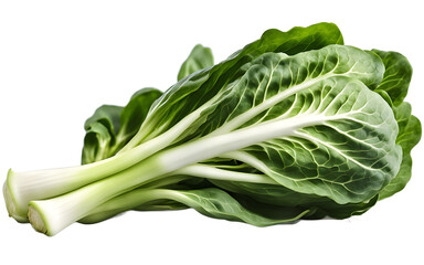 Poster - A whole bok choy with white stems and green leaves, isolated on a empty plain background