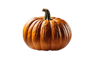 Poster - A whole pumpkin with orange skin, isolated on a empty plain background
