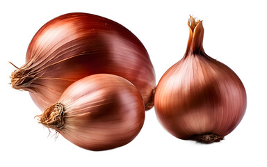 Poster - A whole shallot with a smooth reddish-brown skin, isolated on a empty plain background