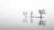© isend - Three leafless trees are reflected in still water on a foggy day