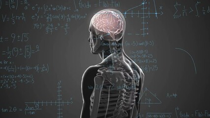 Poster - Animation of human skeleton with brain and math equations in school setting
