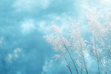 Wall Mural - white pampas grass against a light blue, hazy sky.