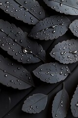 Poster - Beautiful black botanical backdrop features intricate fern leaves adorned with shimmering chrome water droplets