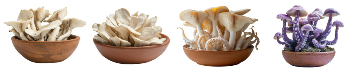 Poster - In a clay bowl, oat pasta is showcased against a simple white background