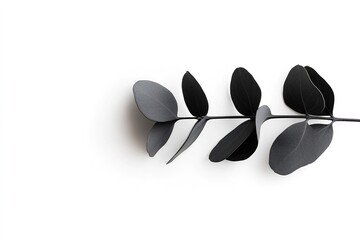 Poster - A sleek black silhouette of a eucalyptus branch rests against a white background. The high-contrast design highlights the intricate shapes of the leaves, enhancing its artistic appeal