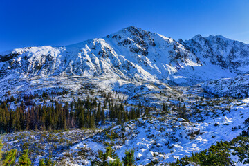 Fototapete - Winter landscape of the Tatra Mountains, Poland