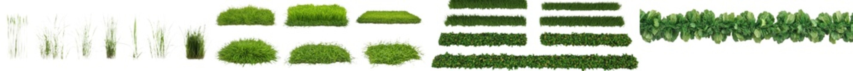 Poster - The 3D render presents a 3D illustration of a collection of green grass borders, which seamlessly loop horizontally and are isolated on a white background