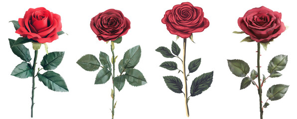 Aufkleber - A white background provides the setting for a dark red rose paired with green leaves