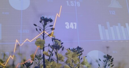 Poster - Graph and data animation over blooming flowers in natural setting