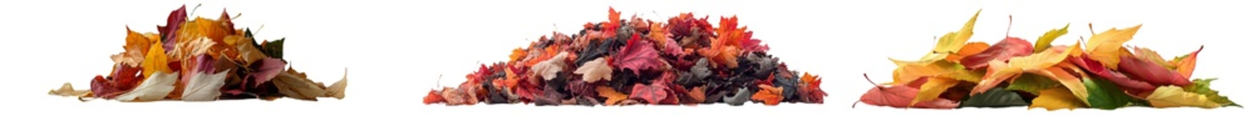 Poster - The image features a mound of leaves with autumn colors set against a white background