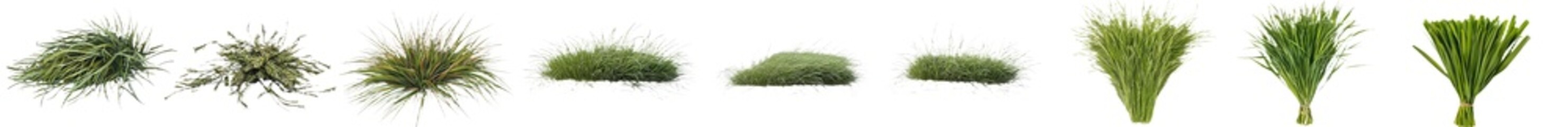 Poster - d rendered image of long grass fields on a transparent or white background, fully isolated