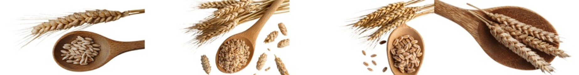 Poster - Isolated on white, the picture shows ears of wheat, seeds, and a wooden spoon