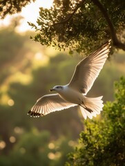 Poster - Seagull soaring gracefully through lush green trees during golden hour in a serene coastal setting Generative AI