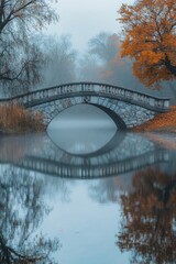 Wall Mural - riverbank with trees