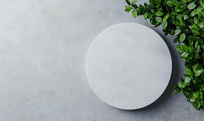 Poster - Minimalistic Background with Circular Surface and Green Foliage Accent