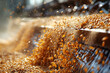 © dyshlivenko - Golden grains cascade from machinery at a grain processing facility. Early morning light illuminates the scene, highlighting the active harvest as grains are sorted efficiently for storage.