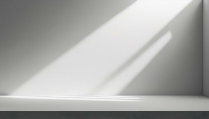 Wall Mural - minimal abstract light gray background for product presentation soft shadow and light from windows o