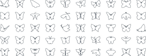 Butterfly vector illustration set, line art style, Butterflies in various poses. Perfect for spring, summer designs, invitations.