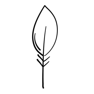 Graphical mono line feathers
