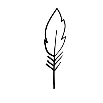 Graphical mono line feathers
