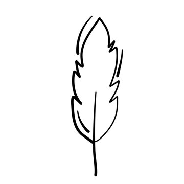 Graphical mono line feathers
