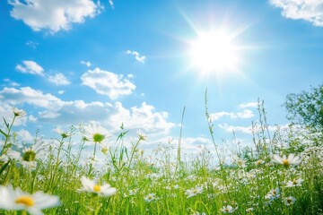 Poster - Bright sunny day with blooming wildflowers under a clear blue sky in a serene natural setting Generative AI