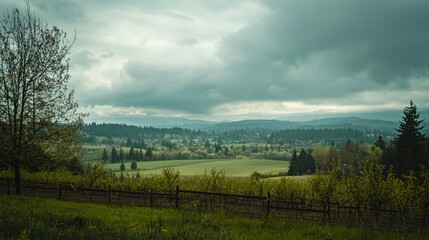 Poster - A vast orchard of cherry trees in the distance, framed by a cloudy sky.