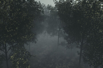  Eerie atmosphere in dark forest shrouded in fog, perfect for mysterious themes