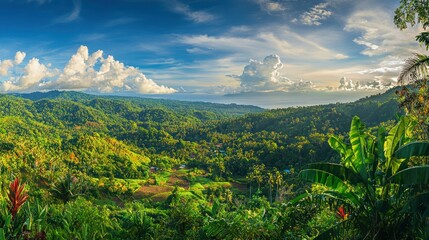 Poster - A panoramic view of a tropical rainforest, rich with diverse flora.