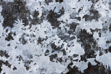 Wall Mural - white and grey frozen surface winter ice crystals grunge background