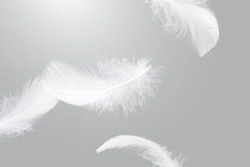 Wall Mural - soft white bird feathers falling in the air. fluffy downy, flying feathers. softness of feathers flo