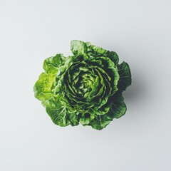 Poster - Fresh crisp lettuce head with vibrant green leaves ready for salads or garnishes in a kitchen setting
